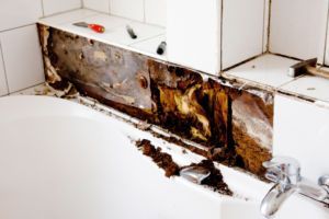 water damage, burst pipe, frozen pipe