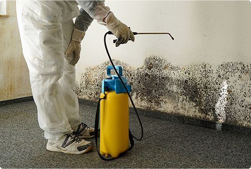 Mold Damage Cleanup