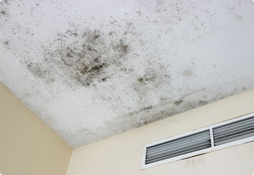 Signs of Mold Problems